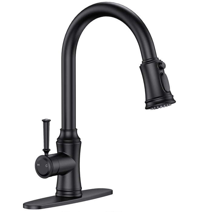 Flycity Single Handle High Arc Kitchen Faucet With Pull Down Sprayer