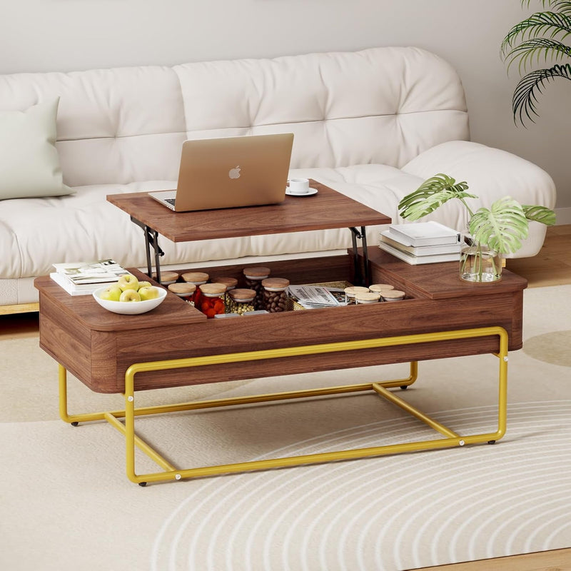 Flycity Wood Lift Top Coffee Table with Storage