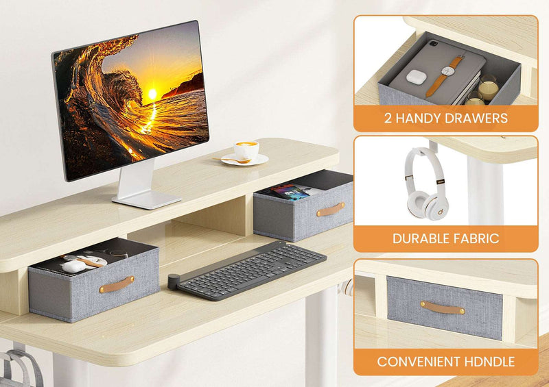Flycity Electric Standing Desk with Dual Drawers