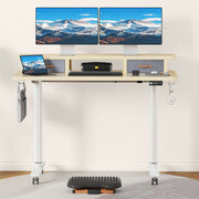 Flycity Electric Standing Desk with Dual Drawers