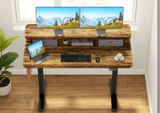 Flycity Electric Standing Desk with Dual Drawers