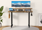 Flycity Electric Standing Desk with Dual Drawers