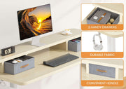 Flycity Electric Standing Desk with Dual Drawers