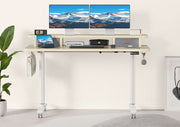 Flycity Electric Standing Desk with Dual Drawers