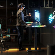 Black Carbon Fiber Electric Standing Desk for Home Office