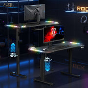 Black Carbon Fiber Electric Standing Desk for Home Office